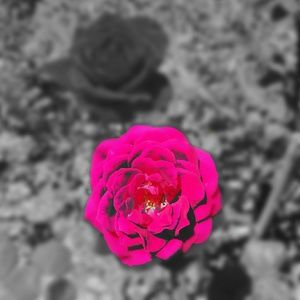 Meet your Posher, Christie